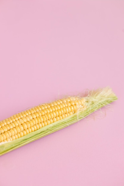 Corn in the leaves isolated on pink background