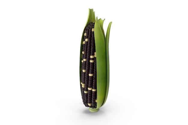 A corn pod with the seeds in the middle