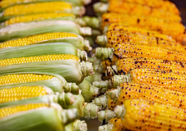 Corn raw and baked cobs stacked in a row selective focus