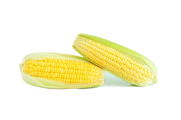 Corn on a white background