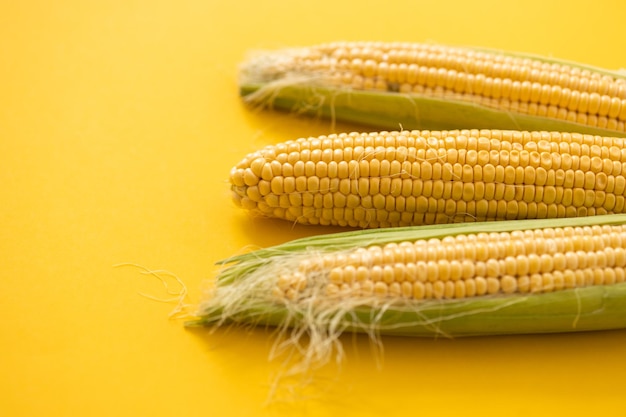 Corn on the yellow background