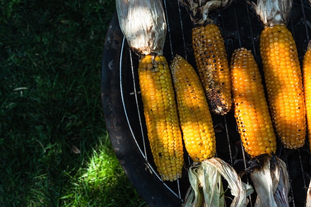 Corncob whole organic corn on grill