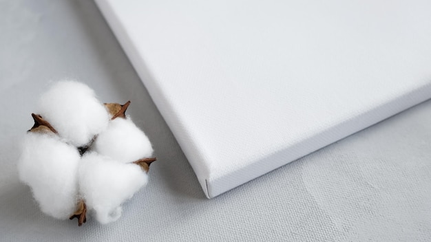 Corner of blank canvas and cotton ball