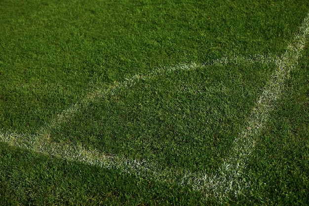 Corner of the soccer field green grass background