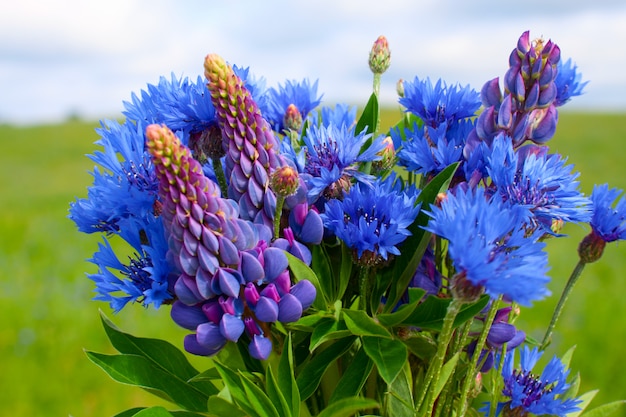 Cornflower and lupines bouquet