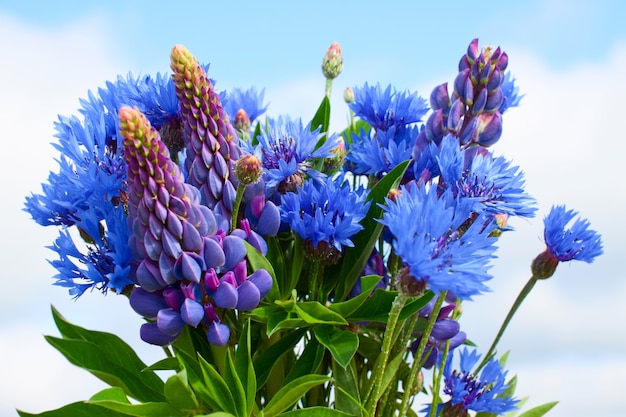 Cornflower and lupines bouquet