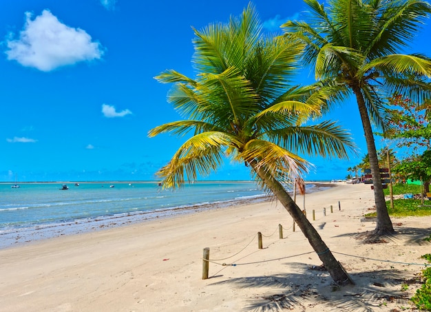 Coroa Vermelha beach in Porto Seguro, Bahia - Tourism and destinations in Northeast Brazil - Tourist attraction, travel guide for Brazil