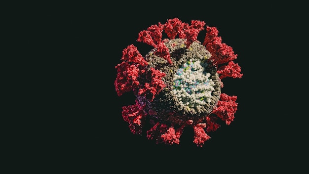 Coronavirus virion ultrarealistic scientific accurate model. SARS-CoV-2 COVID-19 virus particle 3D artwork