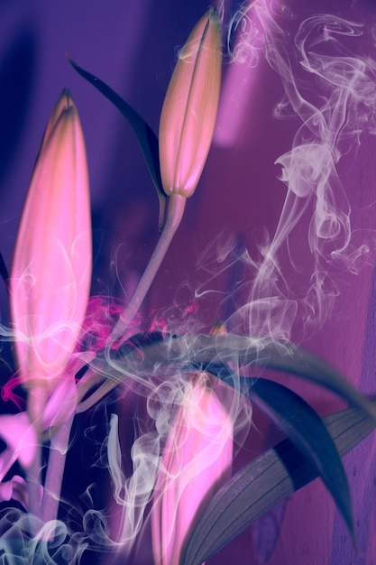 Cose up of white lily flowers and smoke sadness lost love ormourning concept