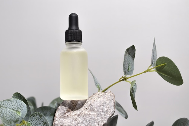 Cosmetic bottle serum oil on stone stand with branch eucalyptus on grey background Natural cosmetics concept skin care product Beauty concept for face body care