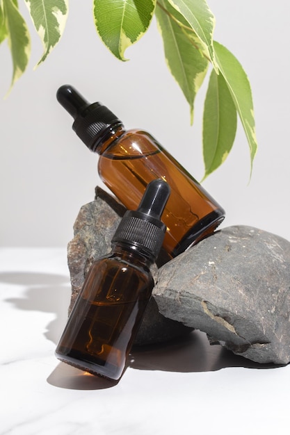 Cosmetic bottles with serum oil on stone stand with branch ficus on grey background Natural cosmetics concept skin care product Beauty concept for face body care