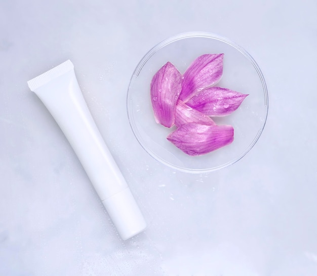 Cosmetic skincare background Herbal medicine with magnolia flowers and lavender Petri dishes cosmetics tubes Natural skincare background