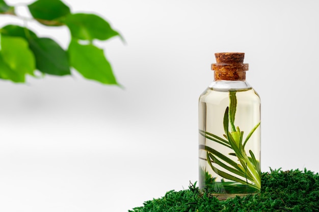 Cosmetics in a bottle essential oil on moss