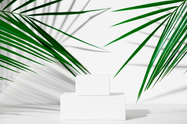 Cosmetics product advertising stand. Exhibition white podium with geometric shapes on a white background with palm leaves and shadows. Empty pedestal to display product packaging. Mockup.