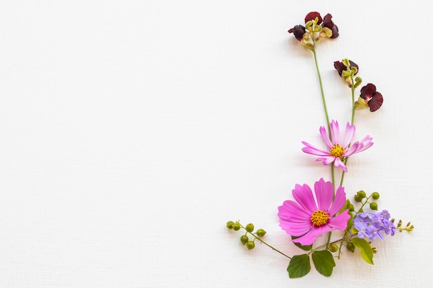 cosmos flowers arrangement flat lay postcard style