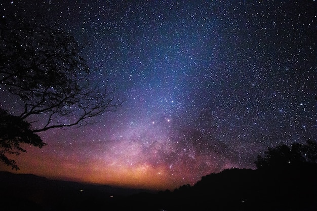 Cosmos landscape view