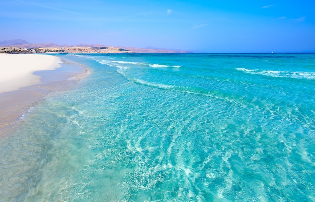 Costa Calma beach of Jandia Fuerteventura