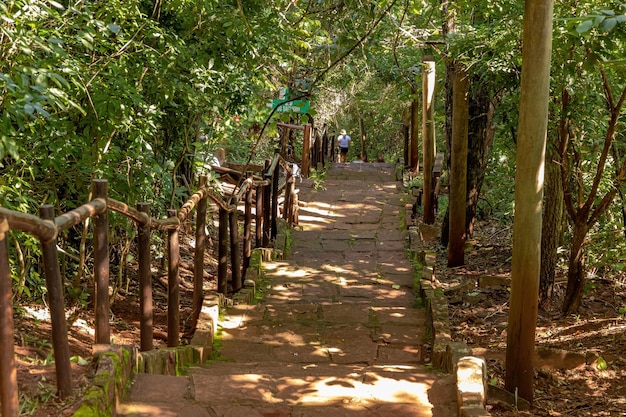 Costa Rica Mato Grosso do Sul Brazil  12 18 2022 Trail path through the forest of the Salto do Sucuriu Municipal Natural Park