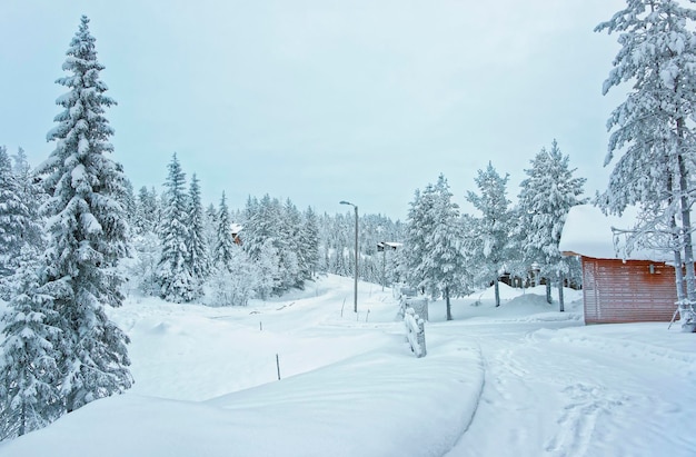 Cottages and trees in the snow covered Ruka in Finland on the Arctic pole circle