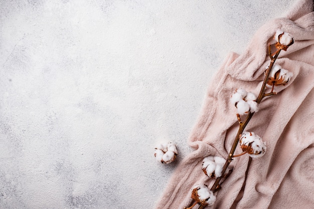 Cotton branch and blanket on light background