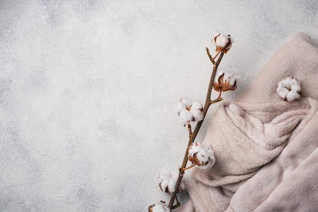 Cotton branch and blanket on light background