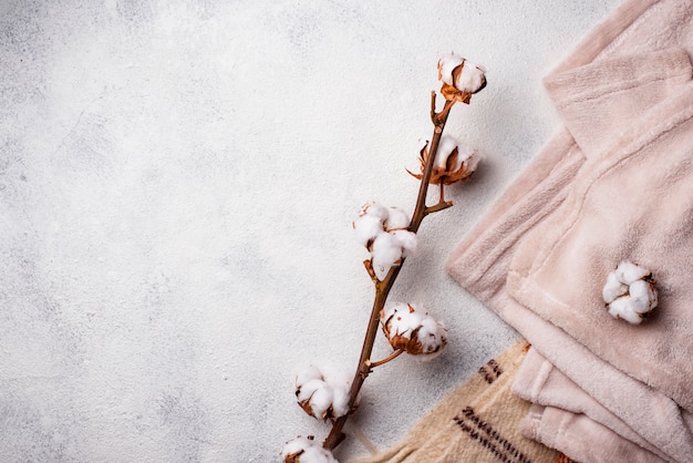 Cotton branch and blanket on light background