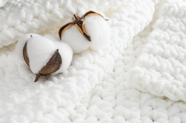 Cotton flower on knitted fabric, close up.