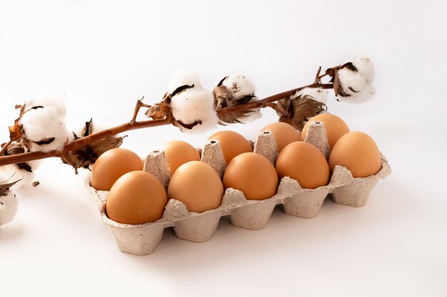 Cotton flower with eggs on a white. Happy easter.