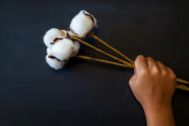 Cotton flowers on a black background