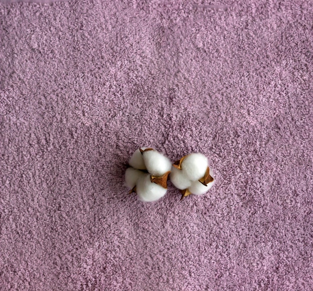 Cotton flowers on the pink towel background