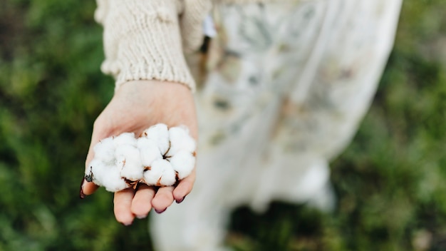 Photo cotton flowers on a woman&amp;#39;s hand