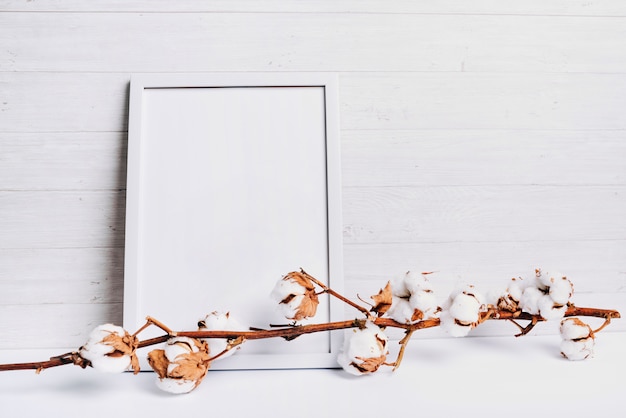 Cotton stem against wooden plank background