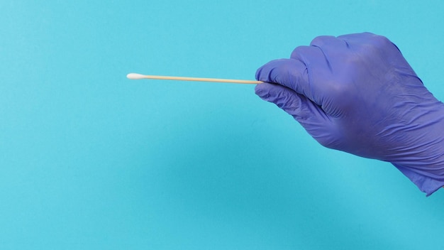 Cotton stick for swab test in hand with violet medical gloves or latex glove on blue background