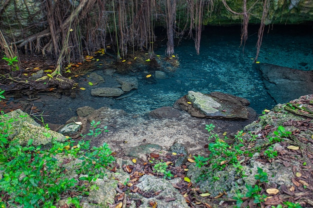 Cotubanama National Park in Dominican Republic, Padre Nuestro Section with typical vegetation inside and quarries such as the Cueva de Padre Nuestro and Cueva del Chico