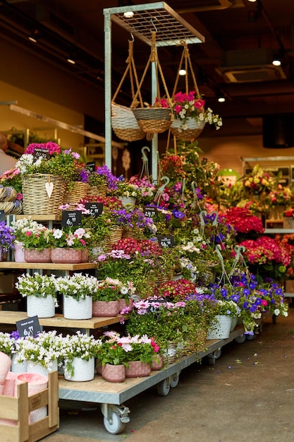 The counter of a flower store in Germany is full of fresh flowers