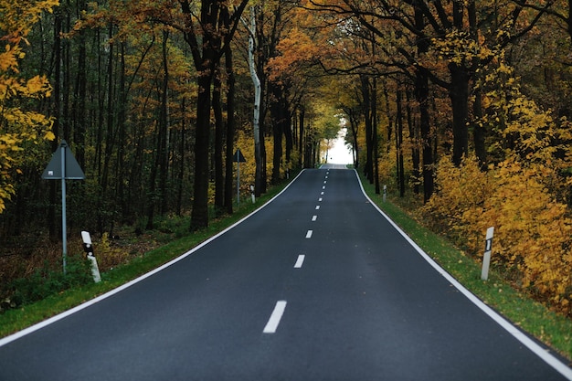 country road at autumn season with bright orange colors at morning sunrise