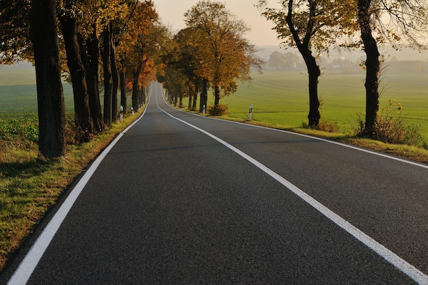 country road at autumn season with bright orange colors at morning sunrise