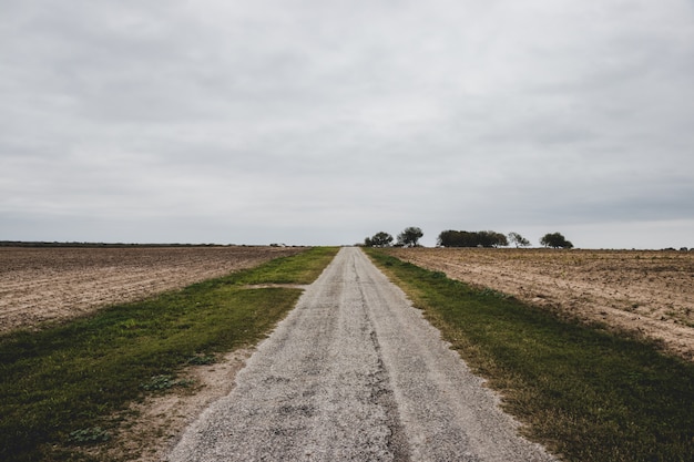 Country Road Background