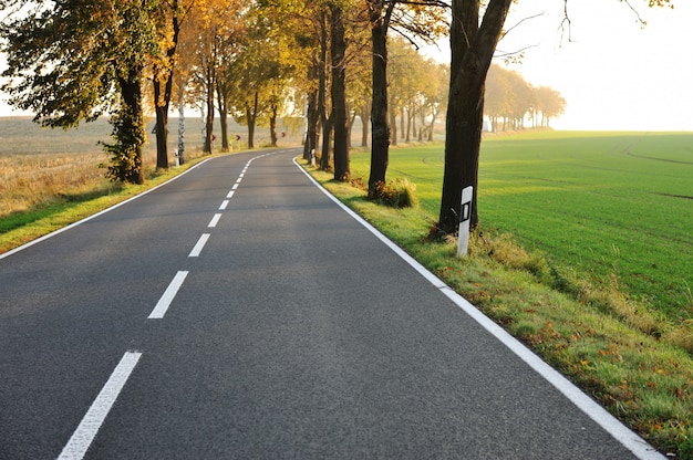 Country road, beautiful scene