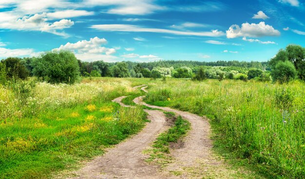 Country road in field