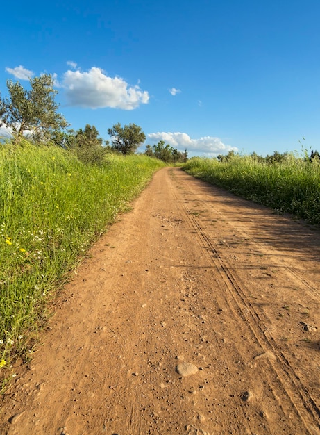 A country road fields and a cloud in the blue sky on the island of Evia in spring in Greece