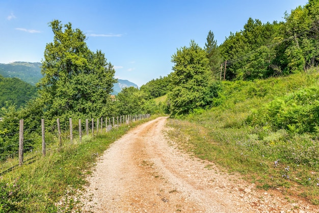 Country road through the forest in mountains of Montenegro