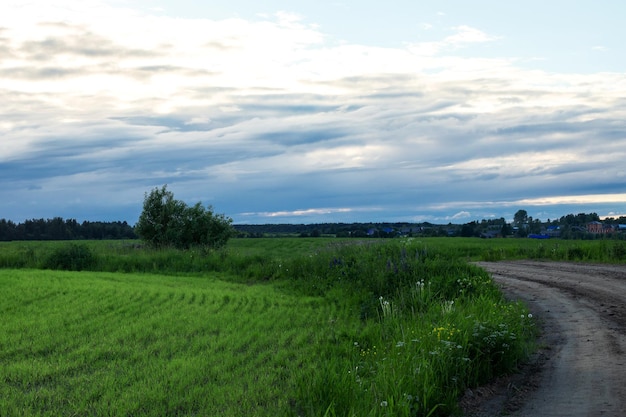 Country road waving along green fields to village Blue sky white clouds dusk landscape background