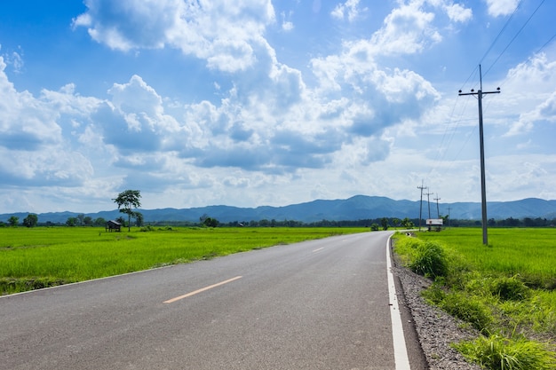 Country Roads with cornfield on a sunny day