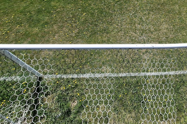 country soccer field with flowers on sunny day