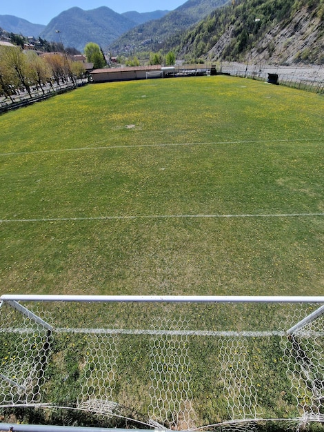 country soccer field with flowers on sunny day