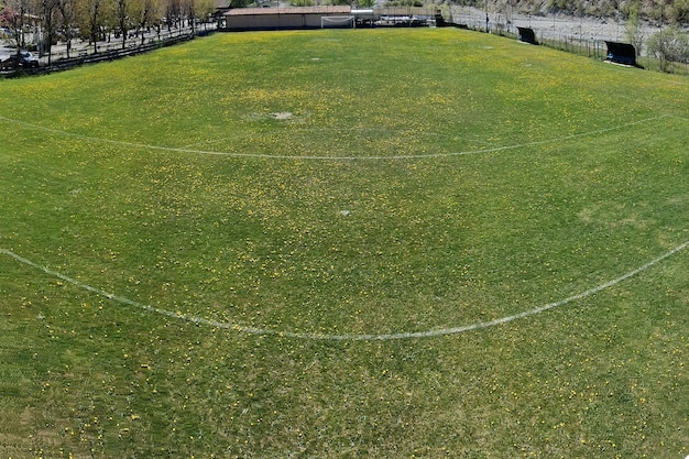 country soccer field with flowers on sunny day