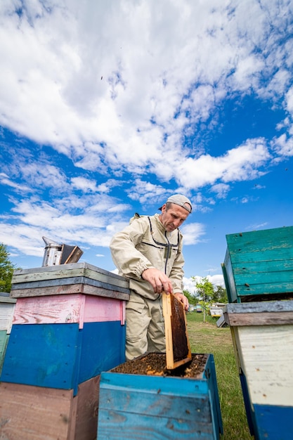 Countryside farming beekeeping Confident beekeeper working with beehives