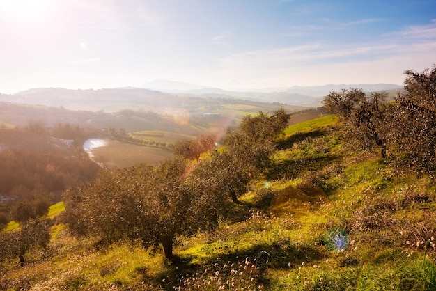 Countryside landscape in autumn agricultural fields among hills