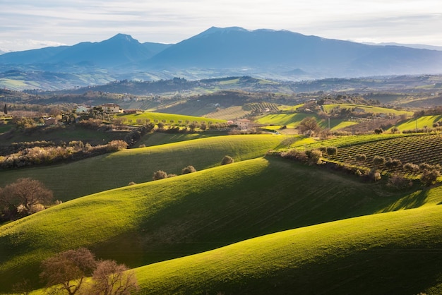 Countryside landscape green agricultural fields among hills